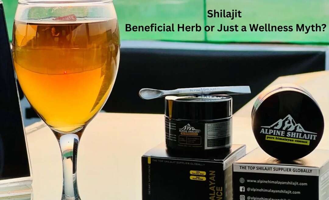 Shilajit – Beneficial Herb