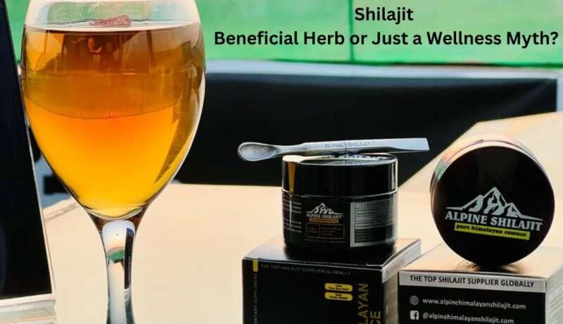 Shilajit – Beneficial Herb